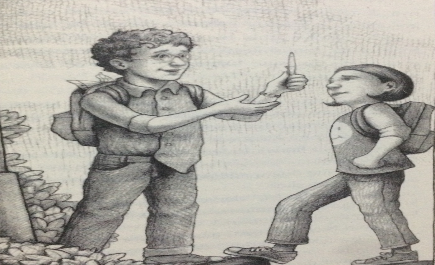 C:\Users\Duygu\Downloads\image2 (2).JPG